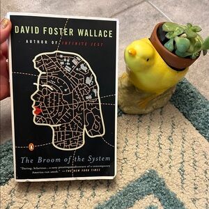 The Broom of the System Book